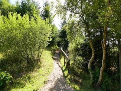 Apartment Ruhig gelegenes Appartement in Niedersfeld - Environment photo 32