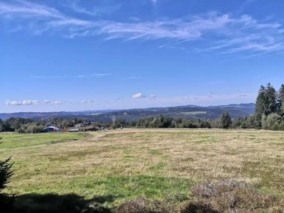 Apartment Ruhig gelegenes Appartement in Niedersfeld - Environment photo 36