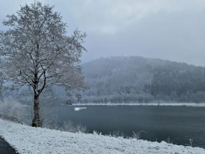 Apartment Ruhig gelegenes Appartement in Niedersfeld - Environment photo 37
