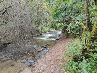 Apartment Ruhig gelegenes Appartement in Niedersfeld - Environment photo 38