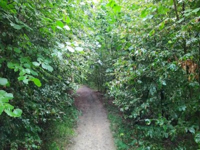 Apartment Helles Apartment mit Balkon in Winterberg - Environment photo 19