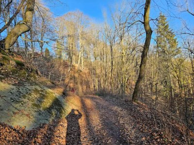 Apartment Helles Apartment mit Balkon in Winterberg - Environment photo 22