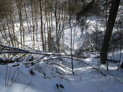 Apartment Helles Apartment mit Balkon in Winterberg - Environment photo 24