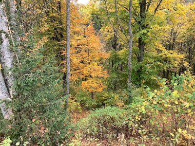 Apartment Helles Apartment mit Balkon in Winterberg - Environment photo 25