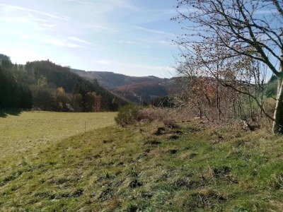 Apartment Helles Apartment mit Balkon in Winterberg - Environment photo 26