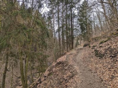 Apartment Helles Apartment mit Balkon in Winterberg - Environment photo 34