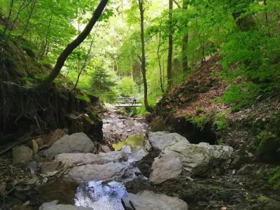 Apartment Helles Apartment mit Balkon in Winterberg - Environment photo 38