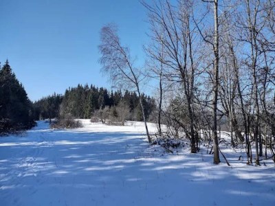 Apartment Gemütliches Apartment in Winterberg mit Balkon - Environment photo 23