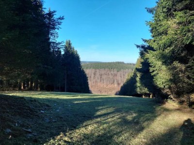 Apartment Gemütliches Apartment in Winterberg mit Balkon - Environment photo 34