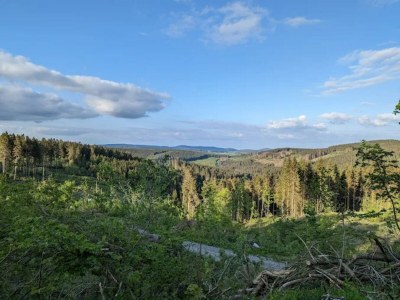 Apartment Gemütliches Apartment in Winterberg mit Balkon - Environment photo 40