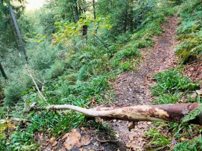 Apartment Ebenerdige Wohnung mit Terrasse in Winterberg - Environment photo 23