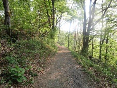 Apartment Ebenerdige Wohnung mit Terrasse in Winterberg - Environment photo 25