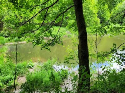 Apartment Ebenerdige Wohnung mit Terrasse in Winterberg - Environment photo 26