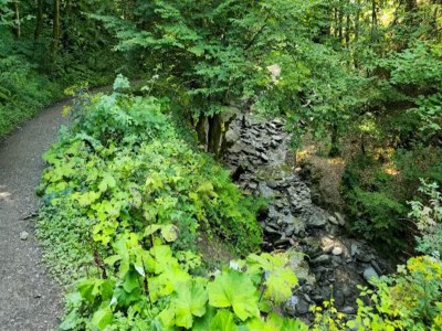 Apartment Ebenerdige Wohnung mit Terrasse in Winterberg - Environment photo 34