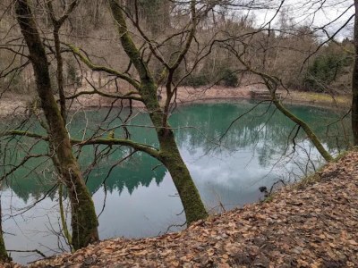 Apartment Ebenerdige Wohnung mit Terrasse in Winterberg - Environment photo 35