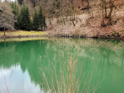 Apartment Moderne Wohnung mitten in Winterberg mit Balkon - Environment photo 37