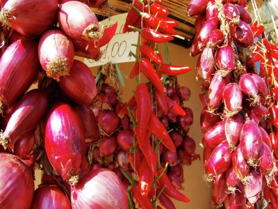 Holiday house Wunderschöne Wohnanlage in der Nähe von Tropea - Environment photo 25