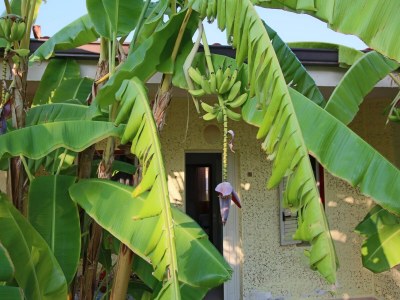 Apartment Holiday Haven near Santa Maria Beach - Outdoor photo 7