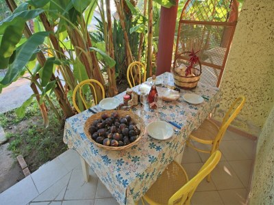 Apartment Holiday Haven near Santa Maria Beach - Outdoor photo 12