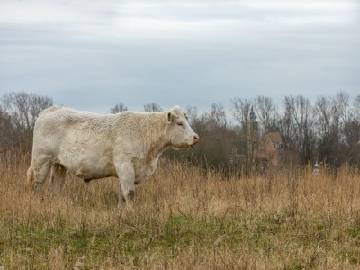 Holiday house Beachside Modern Holiday Home for 6 - Outdoor photo 20