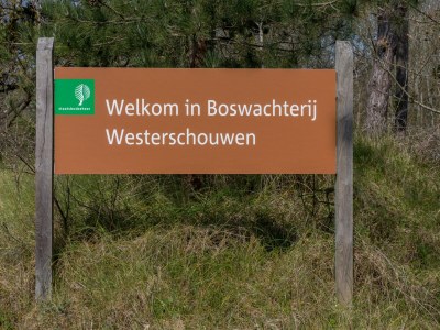 Holiday house Beachside Modern Holiday Home for 6 - Outdoor photo 22