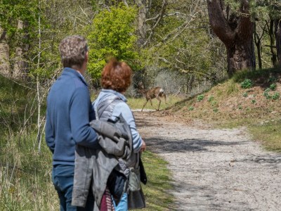 Holiday house modern comfort, close to the beach. - Outdoor photo 24