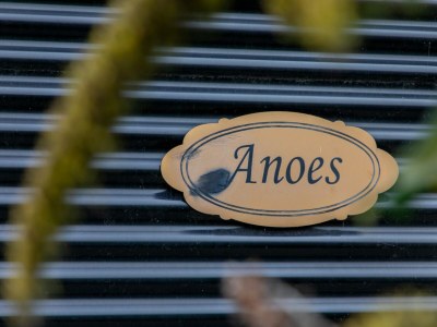 Holiday house modern comfort, close to the beach. - Outdoor photo 31