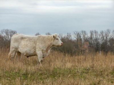 Holiday house Wunderschönes Strandferienhaus für 6 Personen - Outdoor photo 16