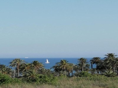 Apartment Apartment am Strand von Roquetas - Environment photo 22