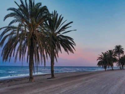 Apartment Apartment am Strand von Roquetas - Environment photo 23