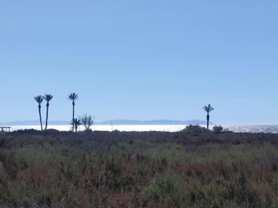 Apartment Apartment am Strand von Roquetas - Environment photo 34