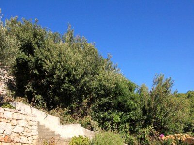 Apartment Two bedroom apartment with terrace and sea view Gršćica, Korčula A-132-a - Outdoor photo 11