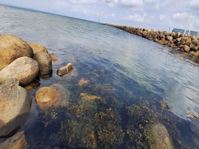 Holiday park 6 person holiday home on a holiday park in Bogense - Outdoor photo 14