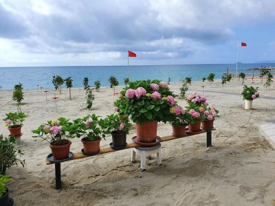 Apartment Relaxed Coastal Stay in Pietra Ligure - Environment photo 35