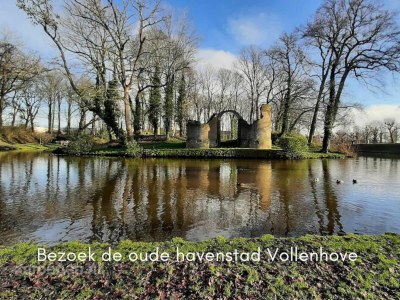 Villa a cozy holiday park on the large forest . - Outdoor photo 10