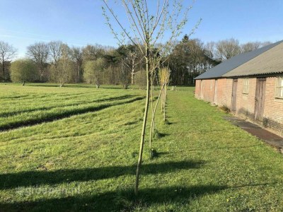 Villa Scenic Group Stay in Woudenberg - Outdoor photo 23