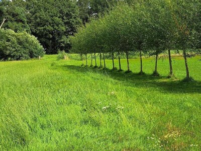 Villa Scenic Group Stay in Woudenberg - Outdoor photo 25