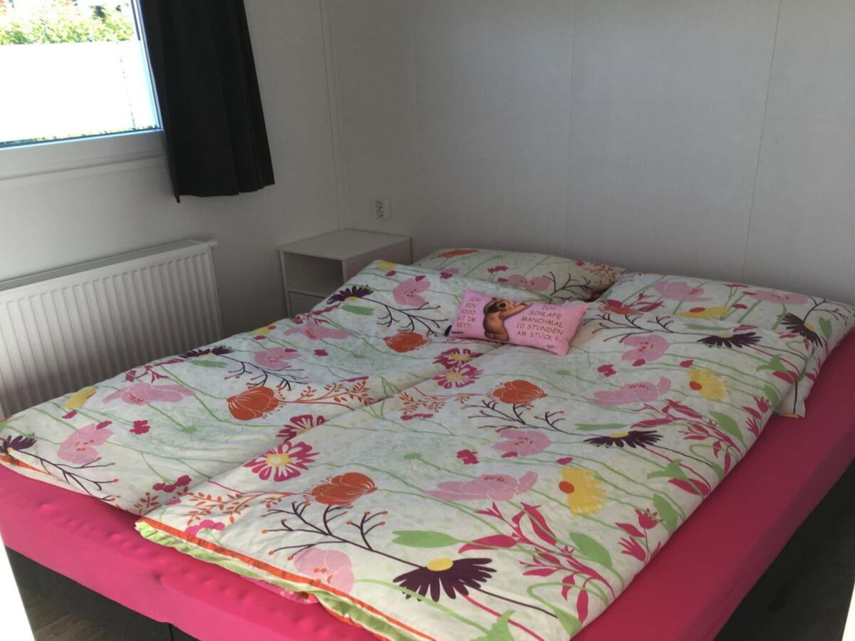 Chalet 4 person chalet on family park in Veere - Outdoor photo 5