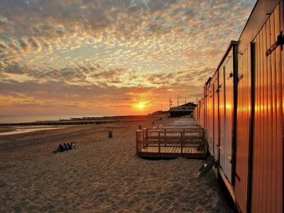 Chalet 4 person chalet on family park in Veere - Outdoor photo 19