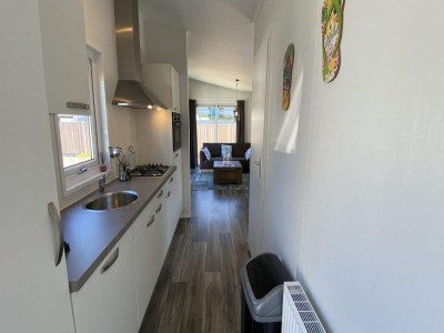 Chalet 4 person holiday chalet in Scherpenisse - Outdoor photo 17