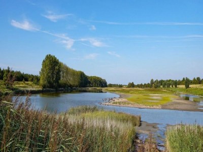 Chalet 4 person holiday chalet in Scherpenisse - Outdoor photo 37