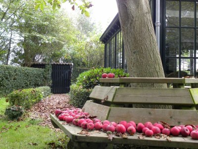 Villa Holiday Home in Oostkapelle near the Beach - Outdoor photo 30