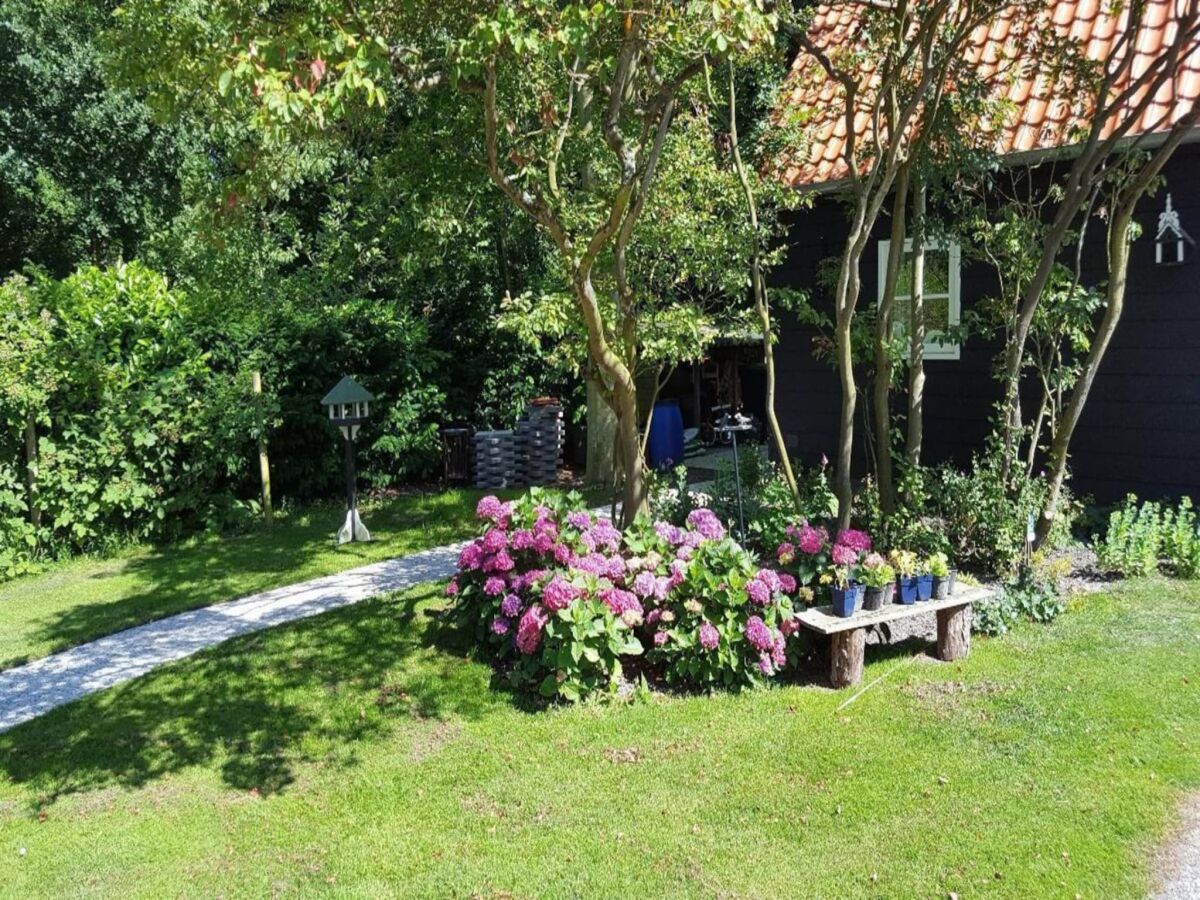 Apartment Apartment in Domburg near the Beach - Outdoor photo 3