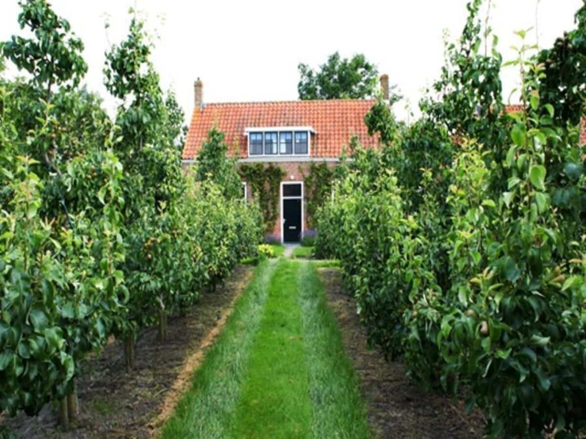 Villa Holiday Home in Oostkapelle near Beaches - Outdoor photo 2