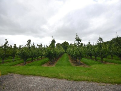 Villa Holiday Home in Oostkapelle near Beaches - Outdoor photo 25