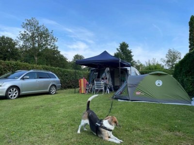 Chalet Chalet in Zeeland near Sandy Beach - Outdoor photo 77