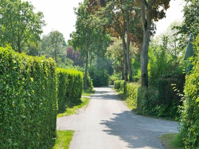 Chalet 6-person New holiday chalet in Scherpenisse - Outdoor photo 48