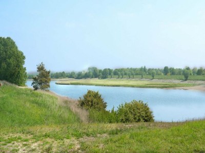 Chalet 6-person New holiday chalet in Scherpenisse - Outdoor photo 52