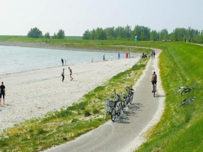 Chalet 6-person New holiday chalet in Scherpenisse - Outdoor photo 53