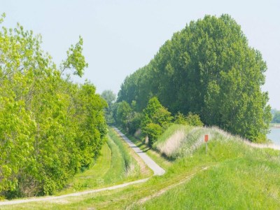 Chalet 6-person New holiday chalet in Scherpenisse - Outdoor photo 54